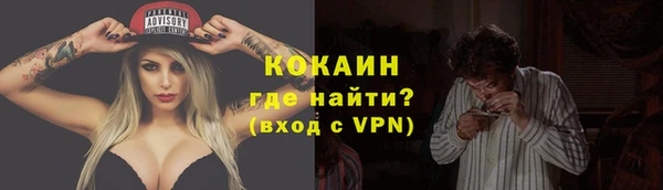 соль ск Алексин