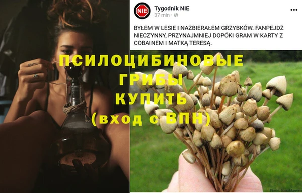 прущая мука Алексеевка