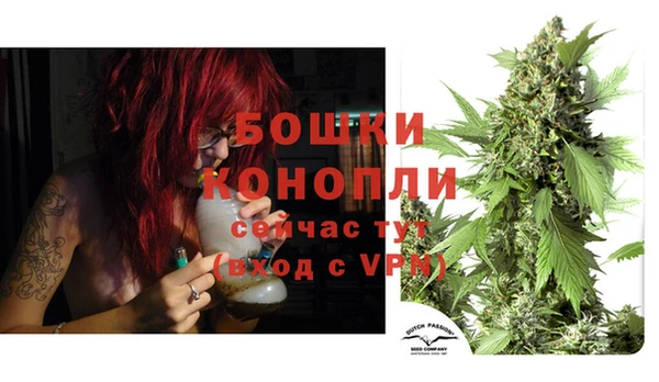 apvp Абаза